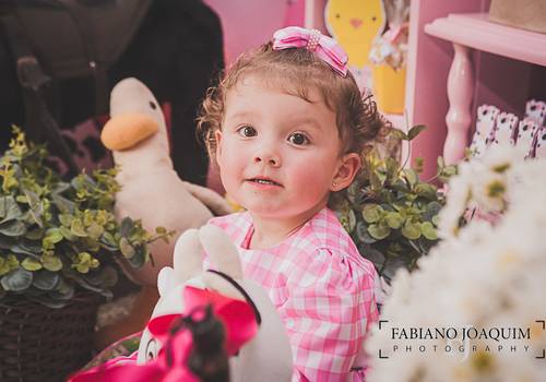 Aniversário Infantil de Aniversário 2 anos | Elisa