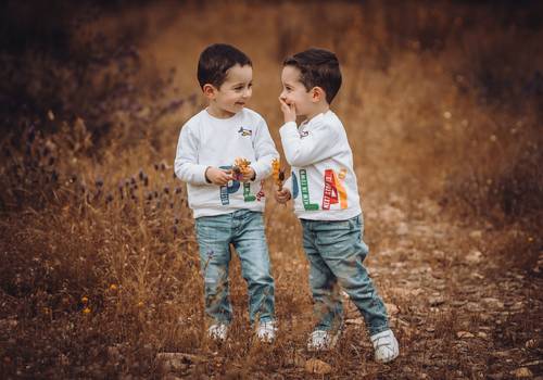 Família de G é m e o s 