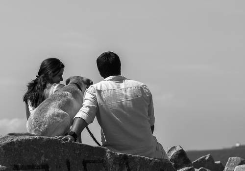 Ensaios de Alan e Dafne