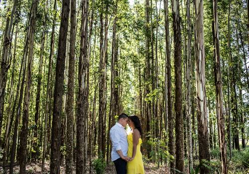 Ensaios de Elton e Carla
