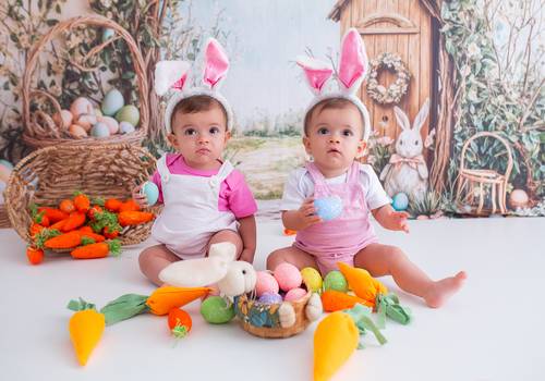 Acompanhamento do Bebê  de Maria Elysa e Maria Helena - Páscoa