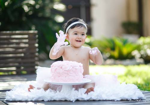 Ensaios de Ana Luiza