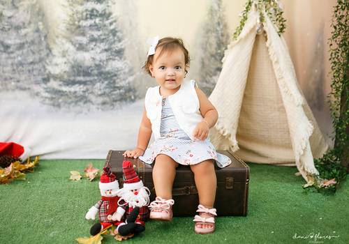 Ensaios de Maria Helena