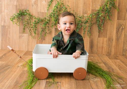 Acompanhamento do Bebê  de Otavio 7 meses