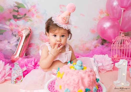 Acompanhamento do Bebê  de Ana Júlia - Smash the Cake 