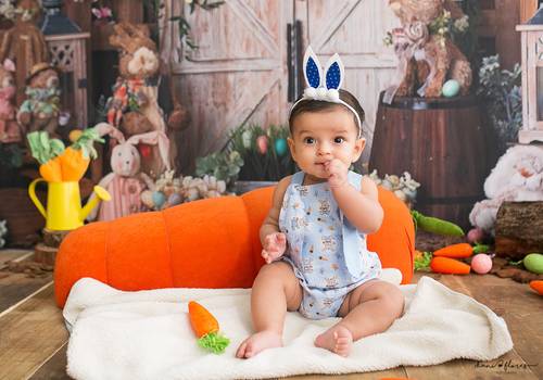 Acompanhamento do Bebê  de Henrique Firmino 6 meses