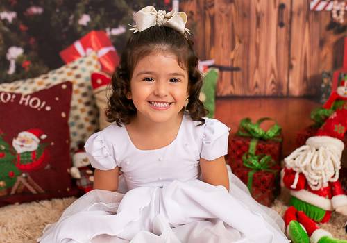 Ensaios de Ana Luisa