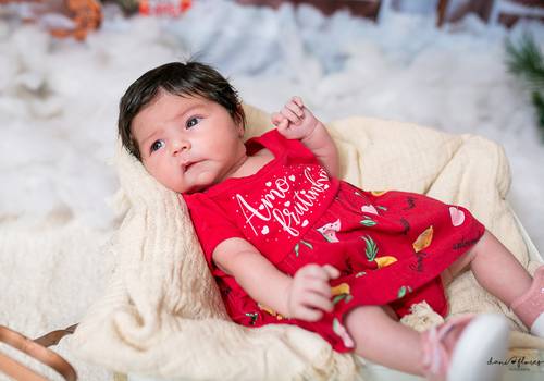 Ensaios de Maria Tereza 