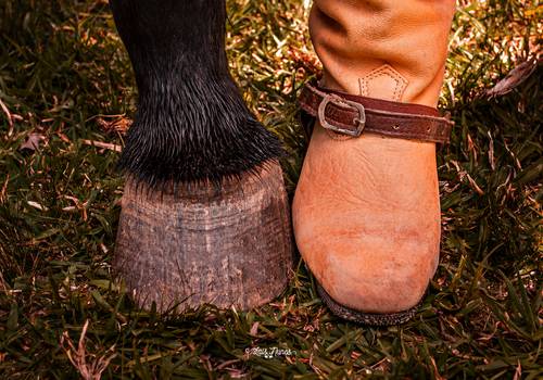 15 anos de Taiane Ramos - 15 anos