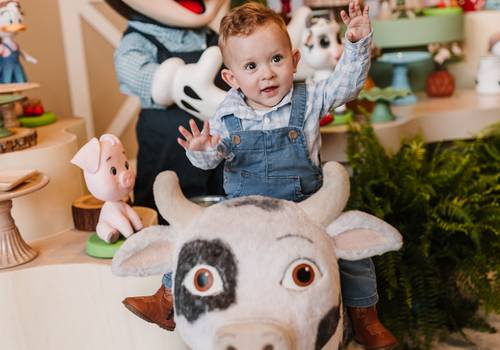 infantil de Lucas - Fotografia de Aniversário Infantil
