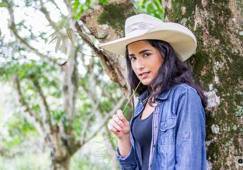 Por ai de Sessão equestre