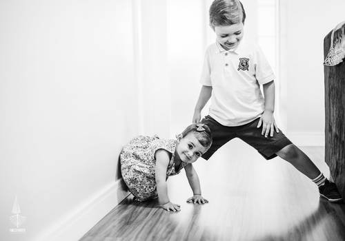 Famílias de A família Kobylarz Forbeci