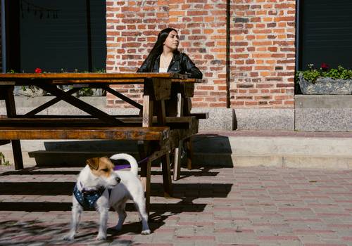 Quince años de Sesión Book Luna