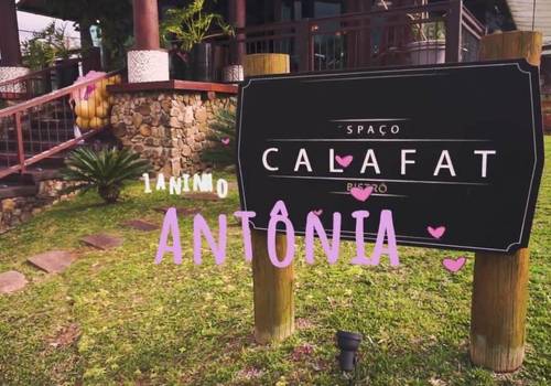 Realize Kids de 1 Aninho Antônia