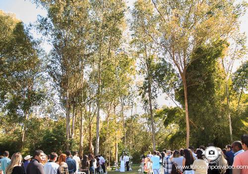 Casamentos de Casamento | Dili e Pedro