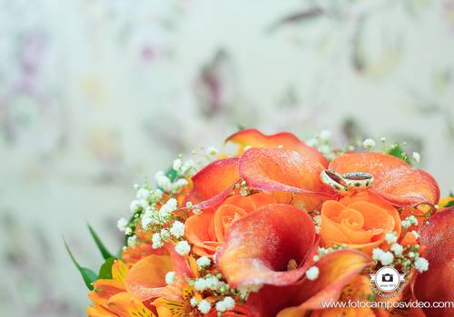 Making of de Making of | Cibele