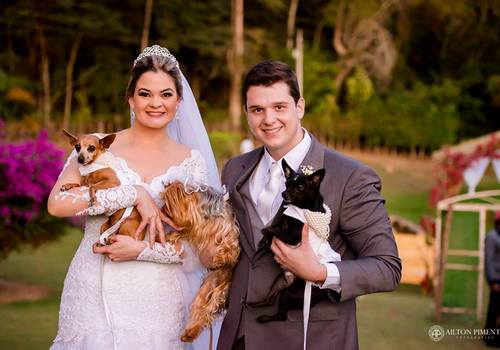 Casamentos de Amanda e Tom