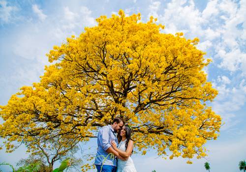 Pré-Casamento de Jeanne e Frederico
