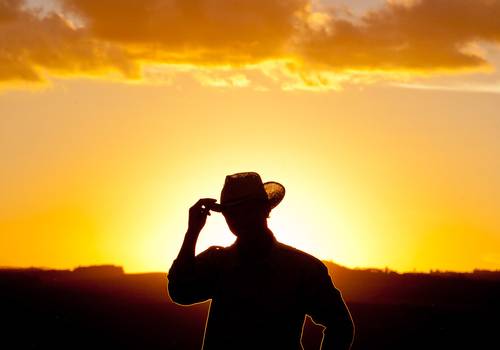 E COMMMERCE de Retratos Agronegócio - BASF Chemicals