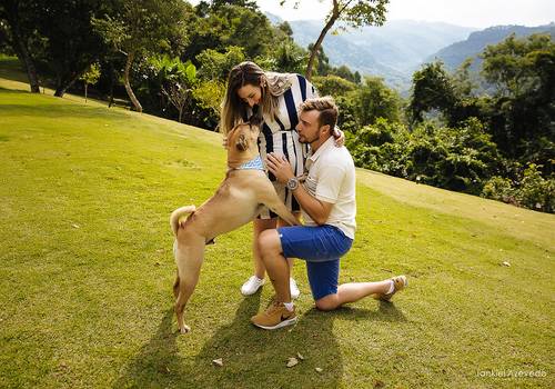 ENSAIO DE GESTANTES de Doce Espera pelo Murilo