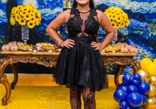 15 Anos de 15 Anos Sofia