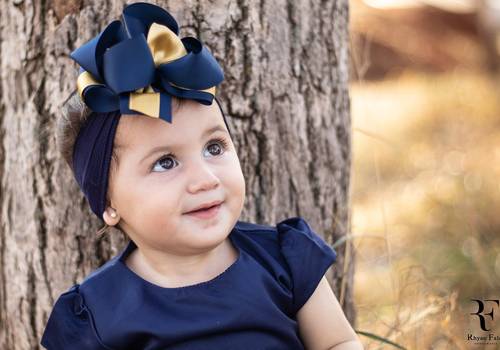 Ensaios de Ensaio Livia