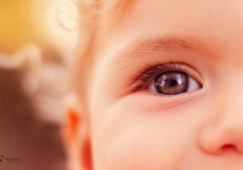 Ensaios de Ensaio - Elisa