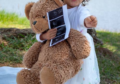 Gestantes  de A&O a revelação 