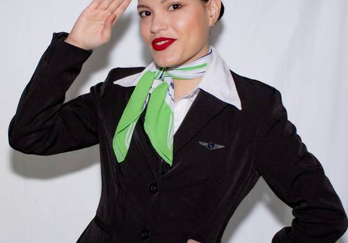 Corporativos de Lauryn Aeromoça 