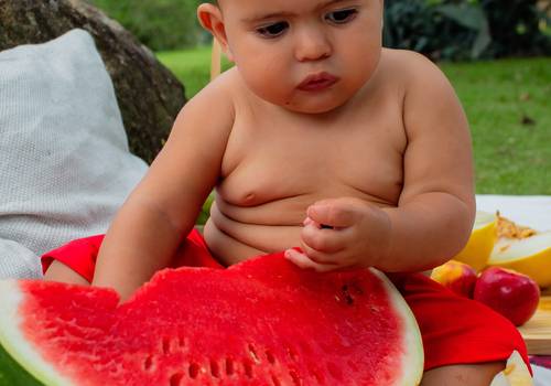 Infantil de Smash the fruit Lorenzo 1 ano 