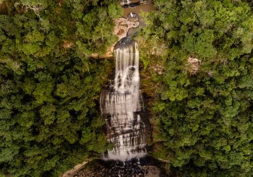 Pré-Wedding de Beatriz e Alexandre