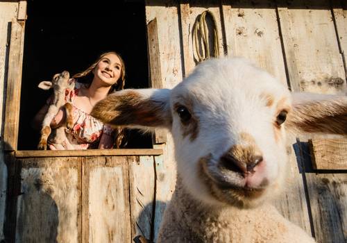 Debutante de Isabela
