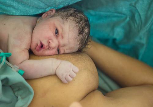 Partos /Nascimentos de Parto Hospitalar Santa Lucinda - Damiani - Nascimento do Gustavo