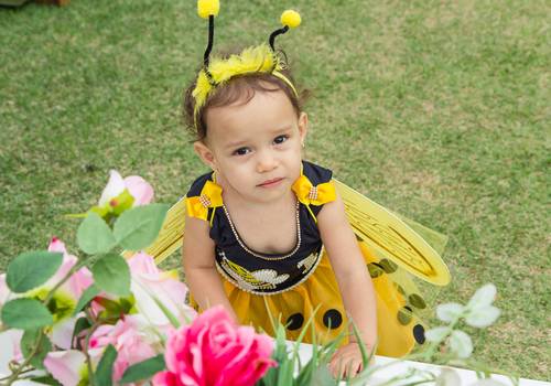 Infantil de Aniversário-Déborah-1 Aninho-Abelhinha