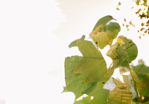 Viagens de Rafa e Ronan