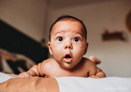 Ensaio de família de Noah 4 meses