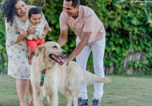 Ensaio Familia de MARCELO, JULIANA & DOM