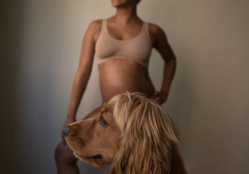 Ensaio Gestante de Dayanne Amaral