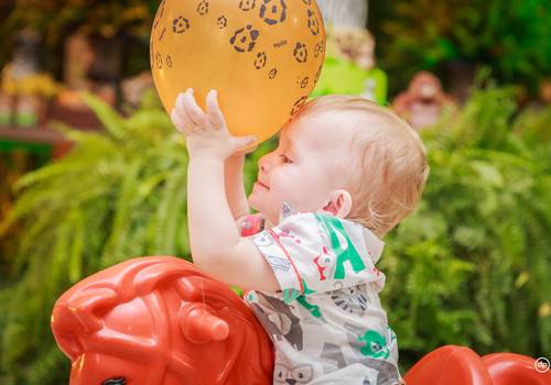 Aniversários de Lorenzo 1 ano