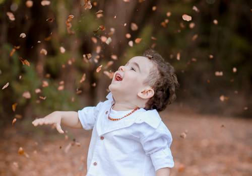 Família de Theo em família 