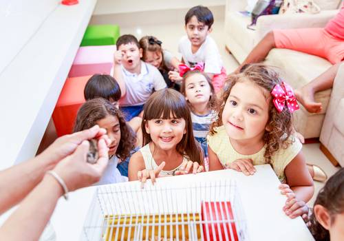 Aniversários de Caio 6 anos