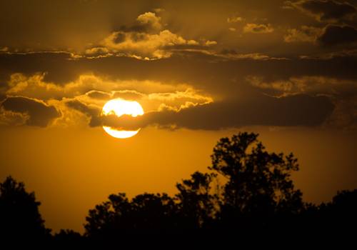 Agropecuária de Banco de imagens Agropecuária