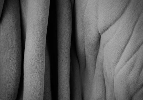 Ensaios de Zebu em partes