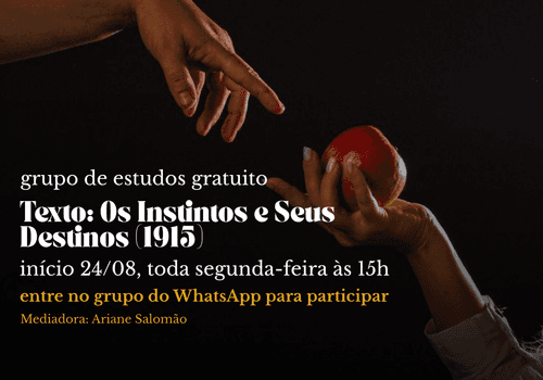 Estudo Teórico de Grupo de estudos: Os instintos e seus destinos (1915) - Sigmund Freud