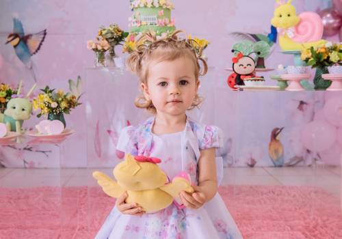 Aniversário Infantil de 2 anos Gabriela