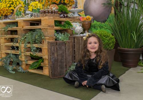 Aniversário Infantil de 6 Anos Carolina