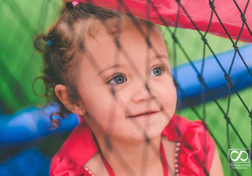 Aniversário Infantil de 2 Anos Luiza