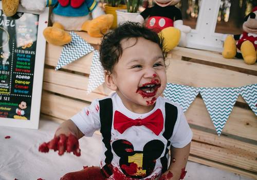 Famílias de Smash The Cake - Luís Miguel