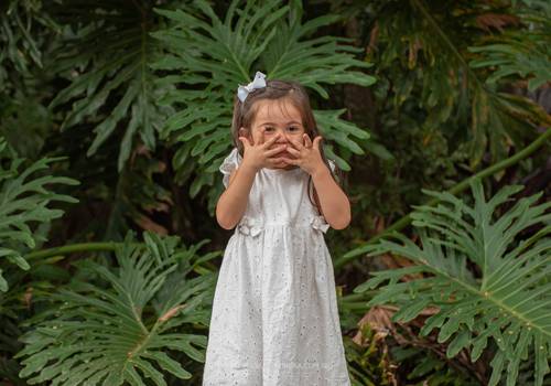 Ensaios de Ensaio Alice