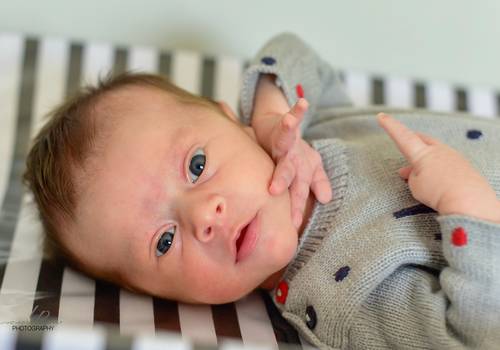 Newborn de Newborn Lifestyle - Joaquim 24 dias